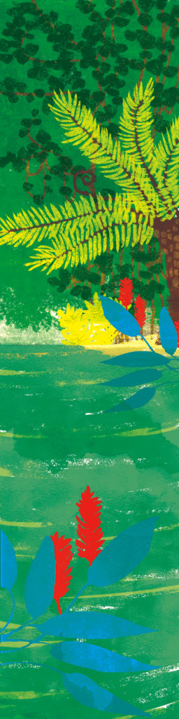 アマゾン川周辺の植物