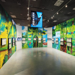 昆虫展壁画イラスト