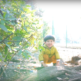 ZHIYUN「WEEBILL S」レビュー｜子ども動画に最強｜