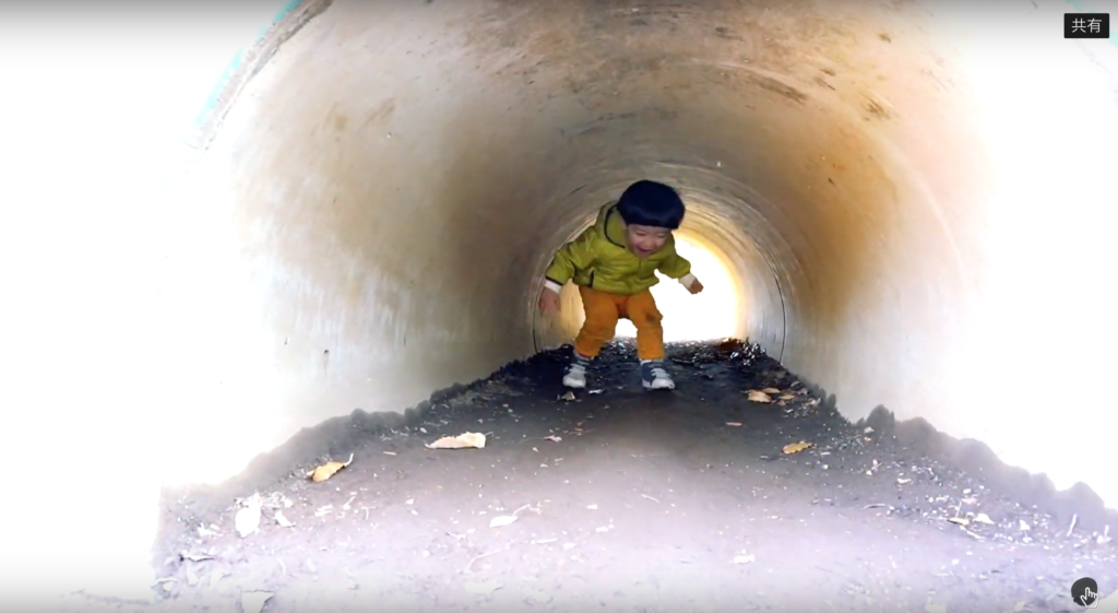 ・ZHIYUN Official Weebill S カメラスタビライザー 3軸ジンバル ミラーレス一眼カメラ用