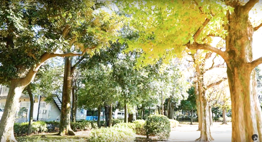 ・ZHIYUN Official Weebill S カメラスタビライザー 3軸ジンバル ミラーレス一眼カメラ用