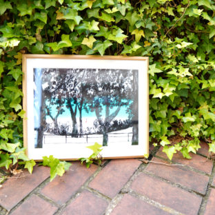 非公開: The sea in Okinawa