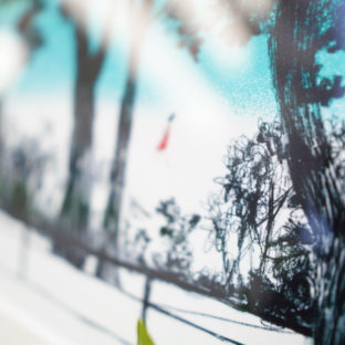 桐島洋子さんのこと