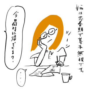 「思春期の姉」としのさきょうだいの育児漫画